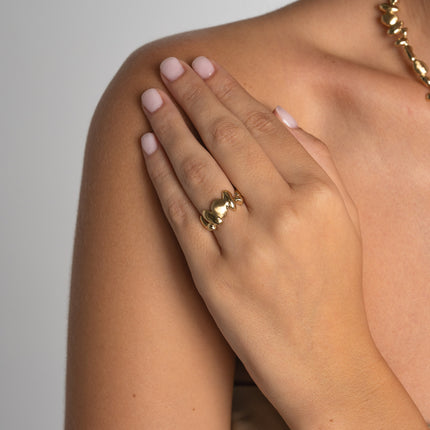 Tame Ring