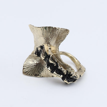 Ray Ring