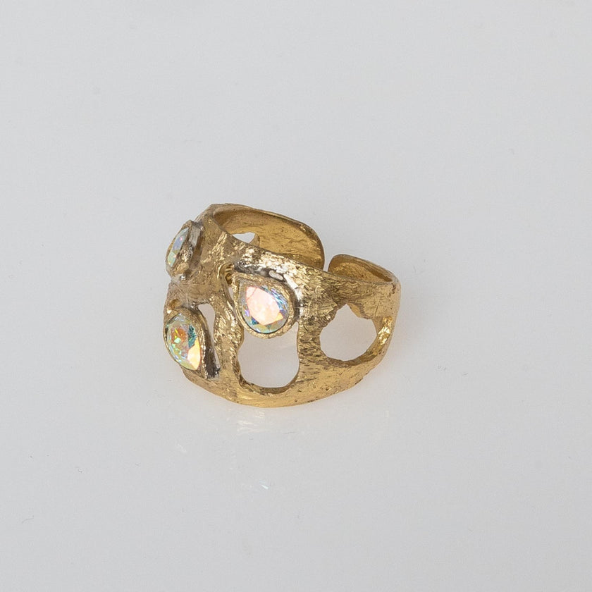 Gloomy Shiny Ring