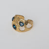 Gloomy Shiny Ring