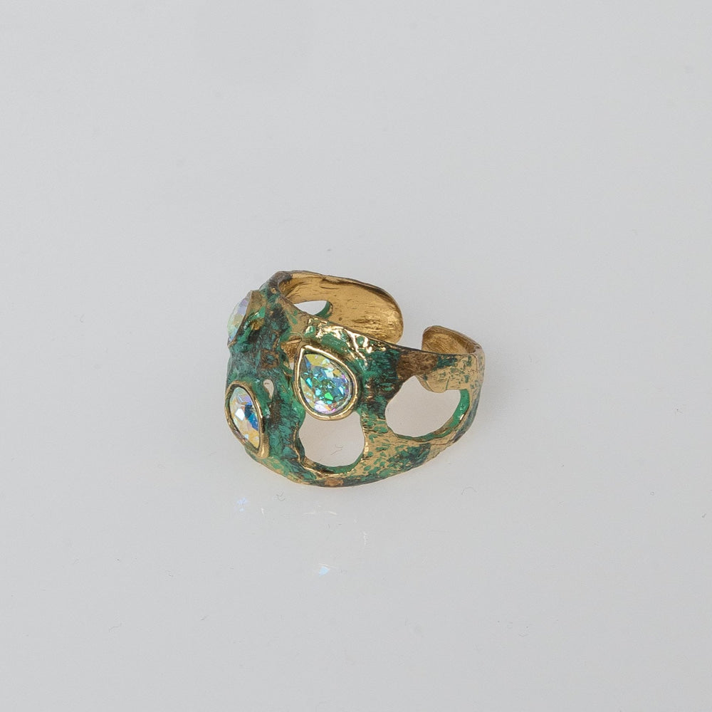 Gloomy Shiny Ring