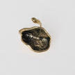 Spore Ring