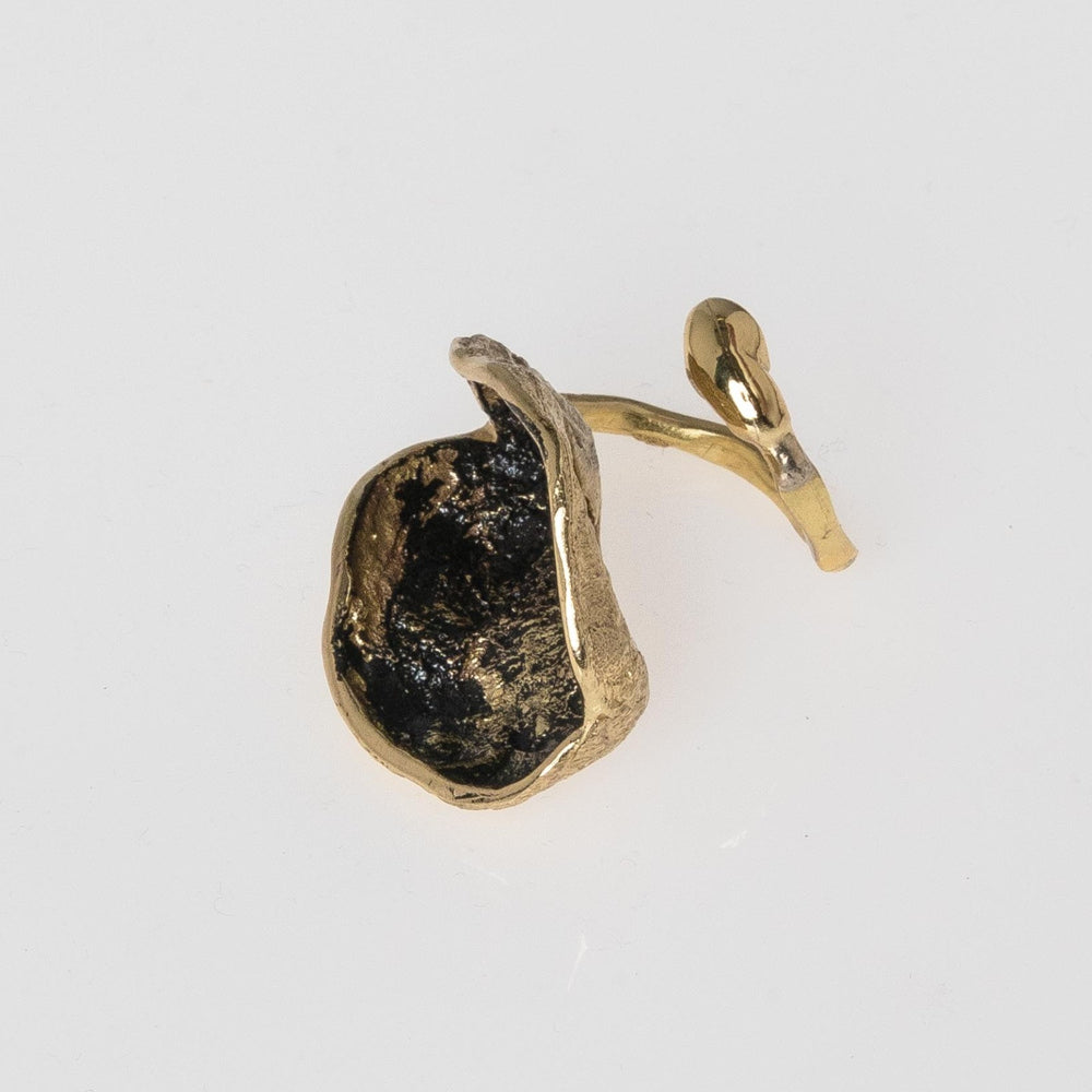 Spore Ring