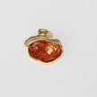 Spore Ring