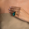 Spore Ring