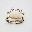 Claw Crabby Ring front view — handmade brass sculptural ring with eight crab legs and wide resin stone body