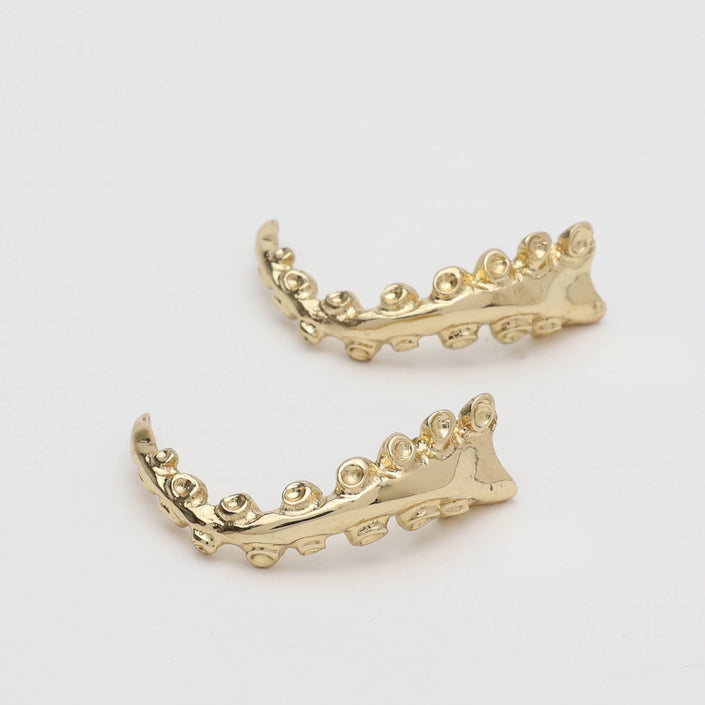 Pulpo Earrings