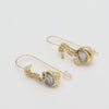 Reef Rider Earrings