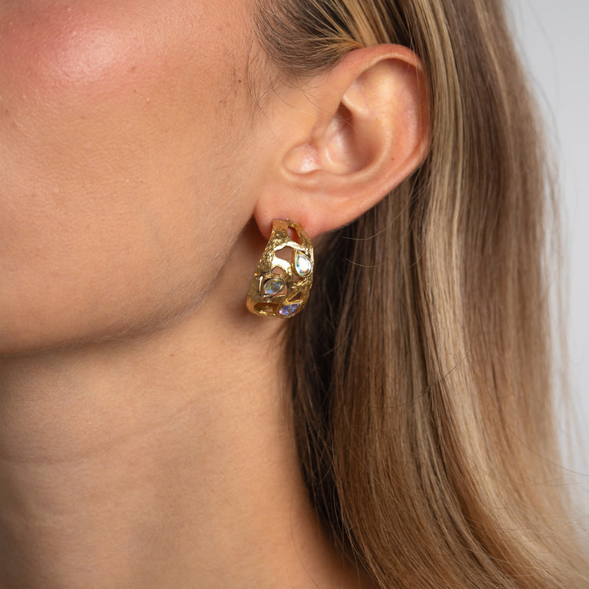 Gloomy Shinny Earrings