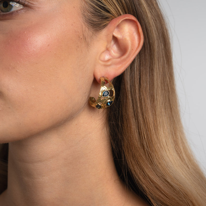 Gloomy Shinny Earrings