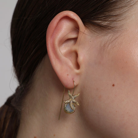 Reef Star Earrings